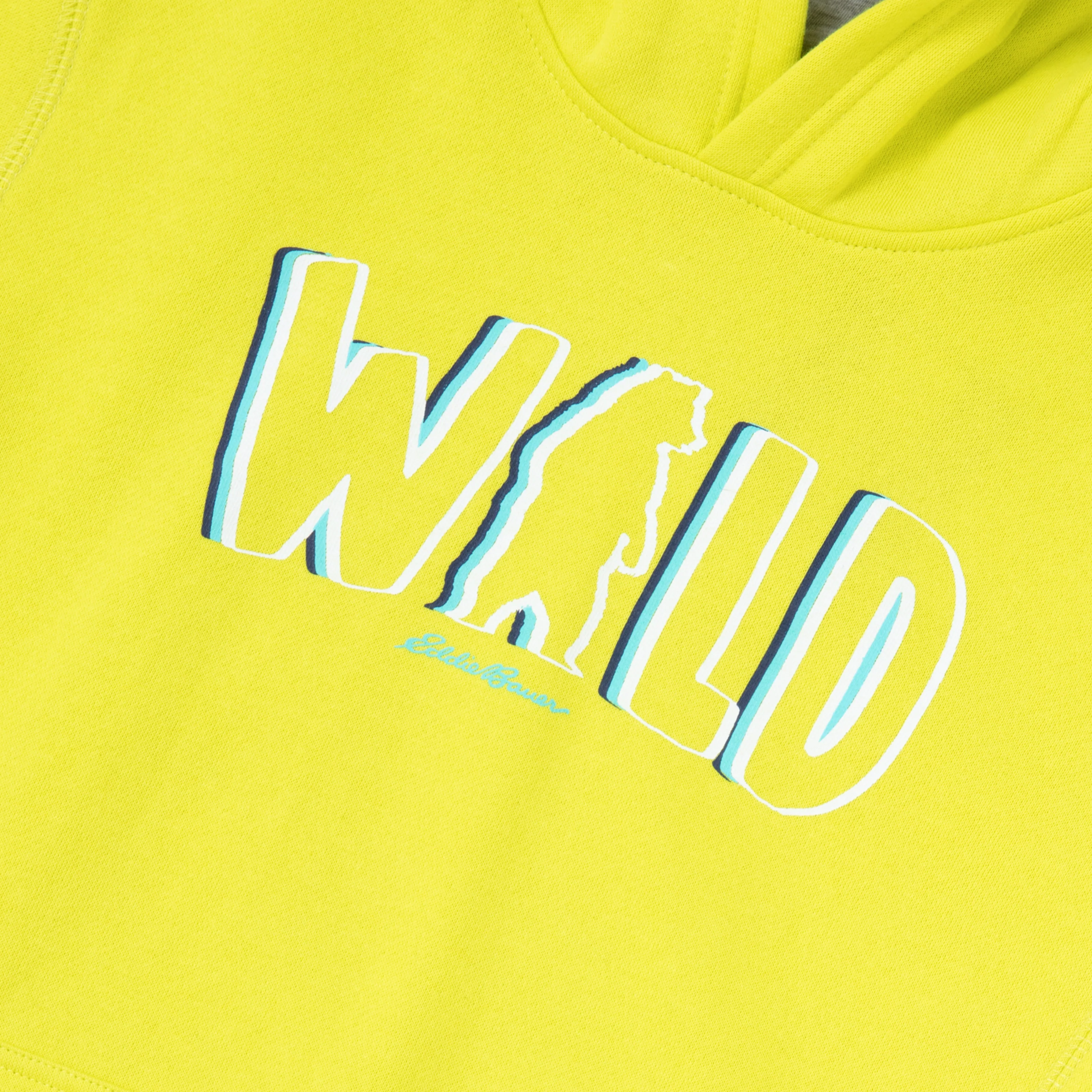 Boys Graphic Camp Fleece Hoodie - Image 6