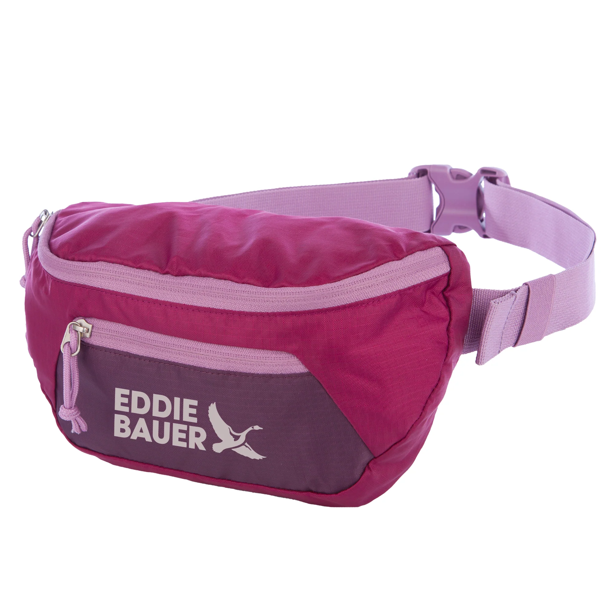 Stowaway Convertible Packable Waistpack - Image 30